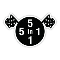 5-in-1 